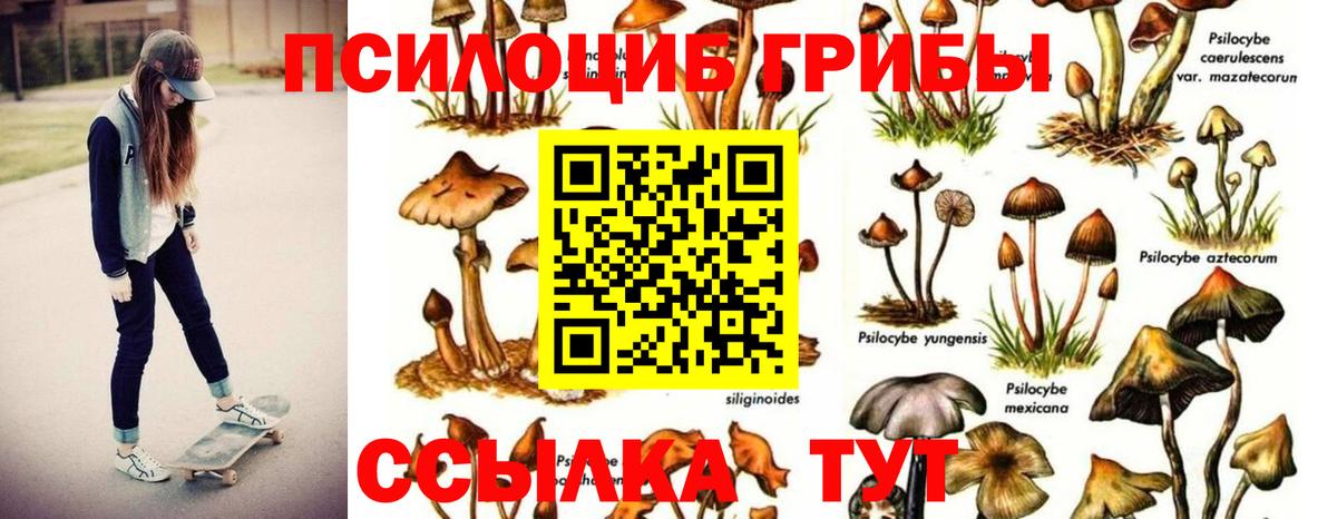 Галлюциногенные грибы ЛСД Луга