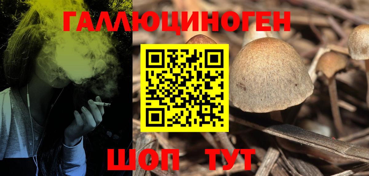 Галлюциногенные грибы GOLDEN TEACHER  Вход с VPN  Луга 
